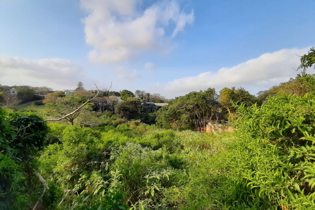 A scenic view overlooking a lush, green, and densely vegetated residential plot with surrounding trees and natural landscape.
