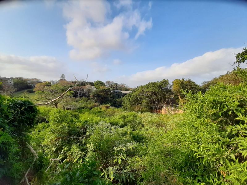 A scenic view overlooking a lush, green, and densely vegetated residential plot with surrounding trees and natural landscape.