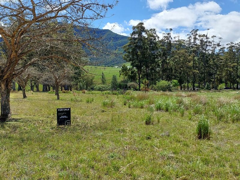 Vacant Land Residential For Sale In Seymour - Photo 4