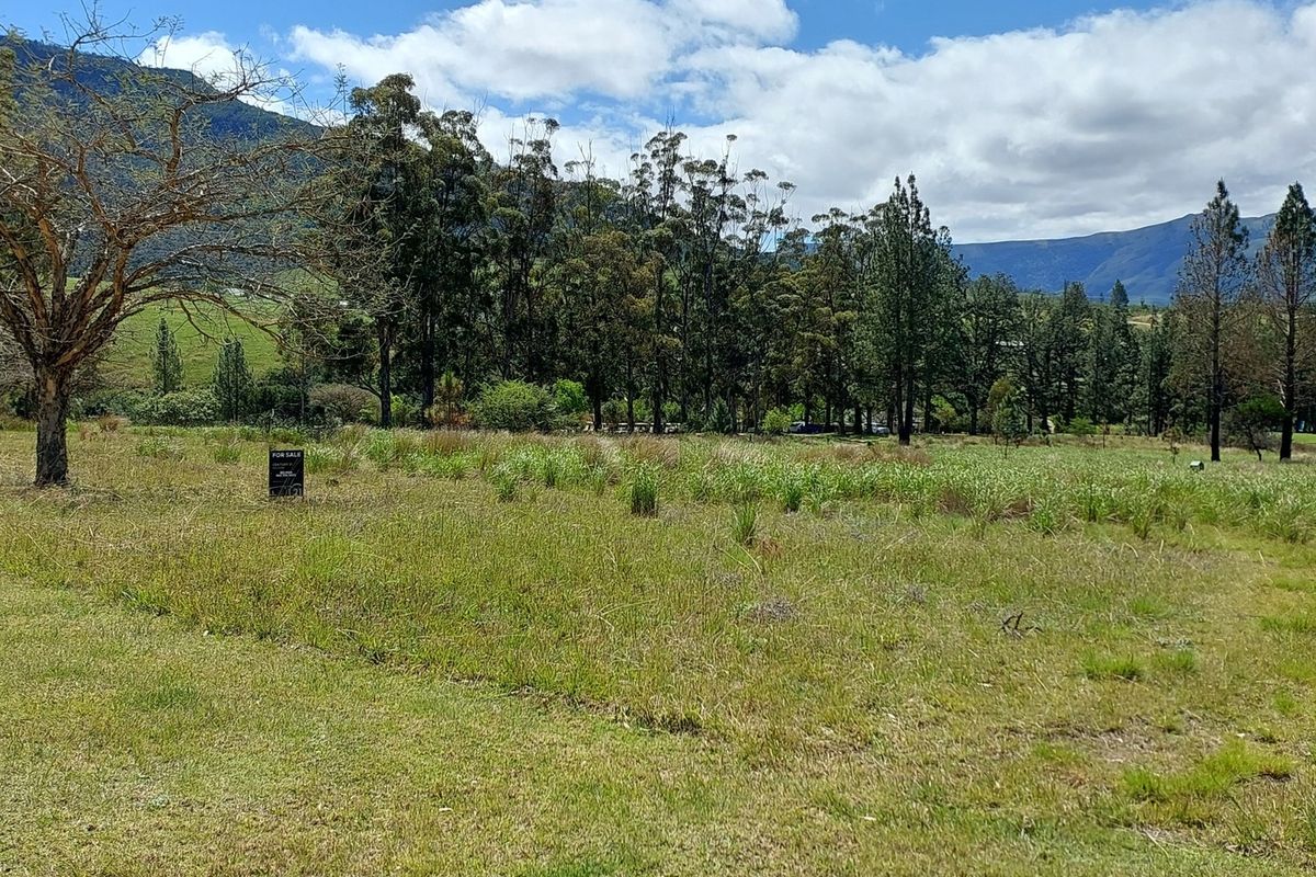 Vacant Land Residential For Sale In Seymour - Photo 5