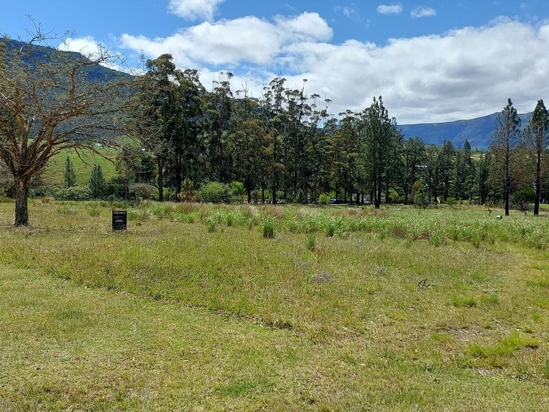 Vacant Land Residential For Sale In Seymour - Photo 5