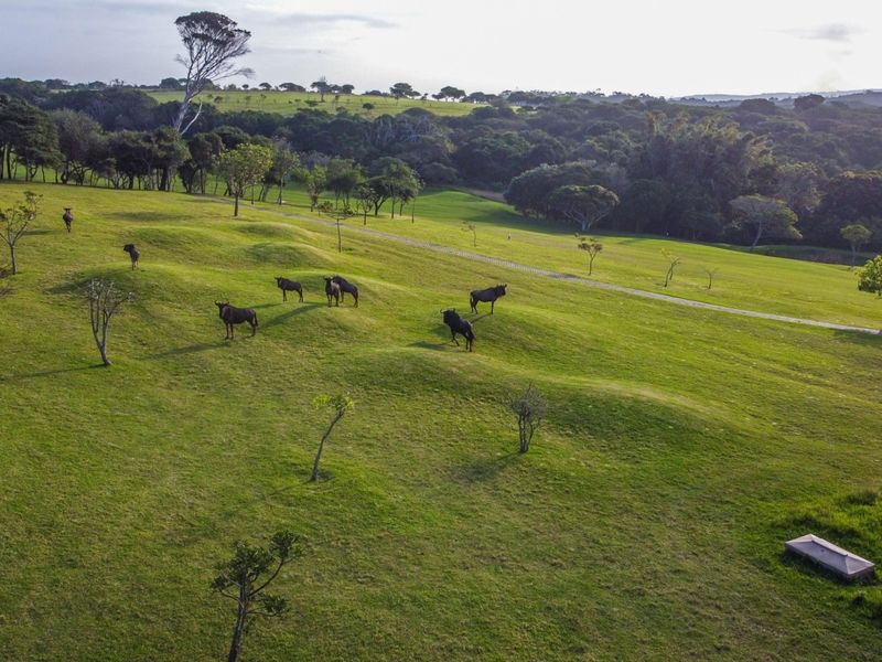 Vacant Land Residential For Sale In East London - Photo 5