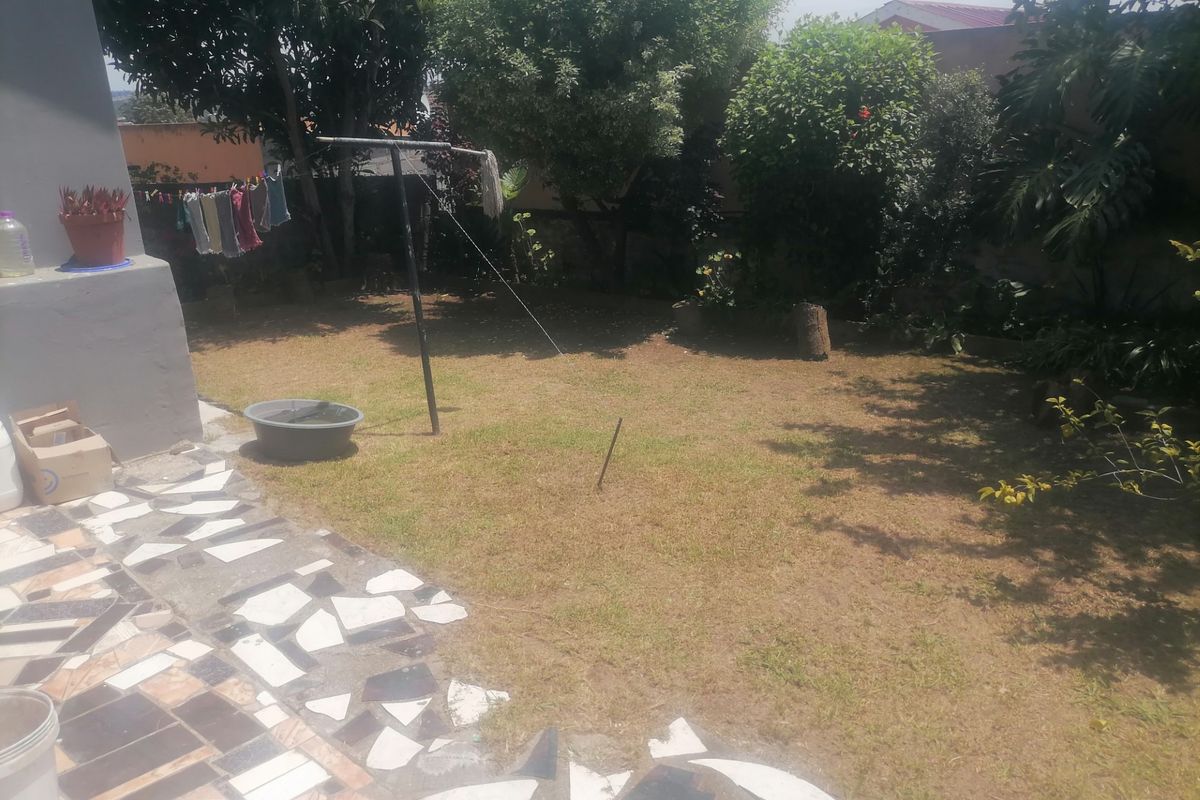 A rear garden area featuring a lawn, mature trees, and a paved patio section with damaged tiling.