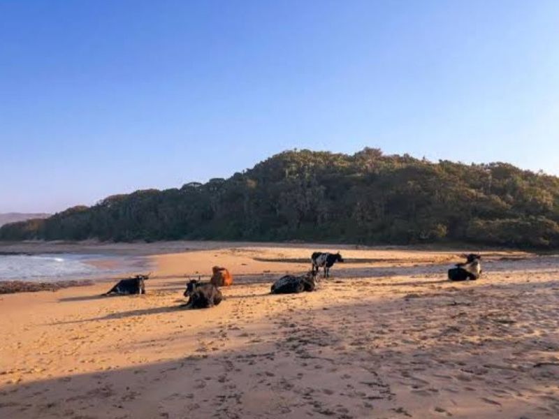 Vacant Land Residential For Sale In Kei Mouth - Photo 8