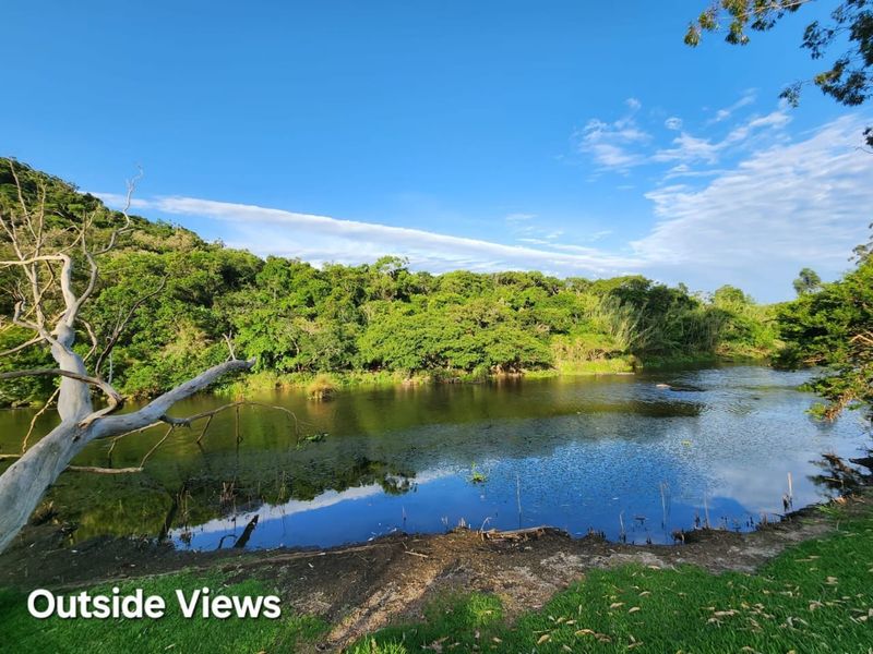 A scenic view of a natural river and lush green forest landscape.