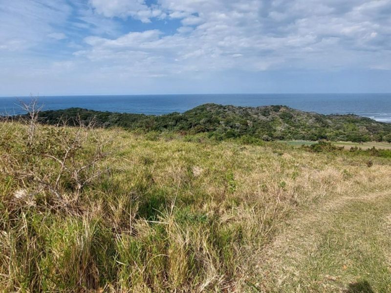A scenic view of the coastal landscape featuring rolling hills and natural vegetation overlooking the ocean.