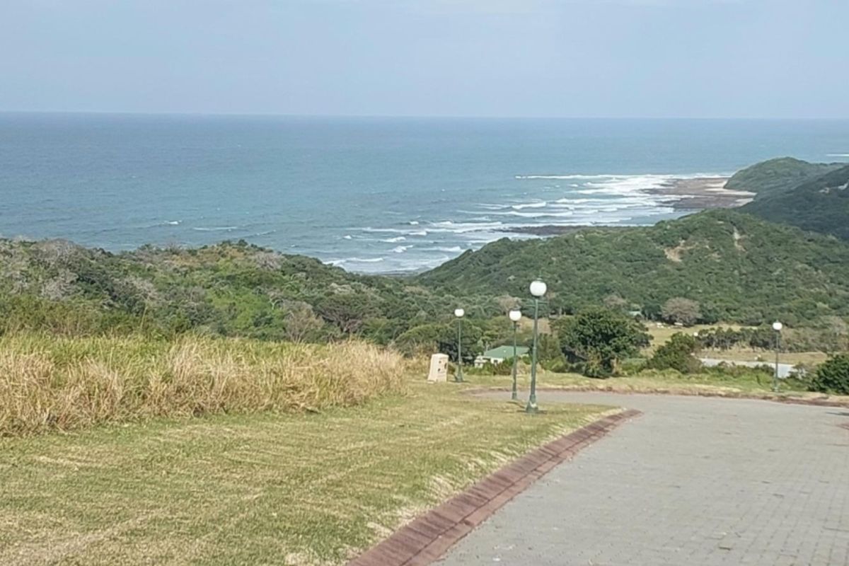 A scenic view overlooking the coastline and ocean from a paved residential driveway with established street lighting.