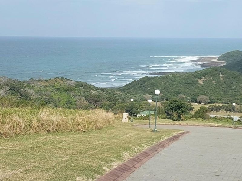 A scenic view overlooking the coastline and ocean from a paved residential driveway with established street lighting.