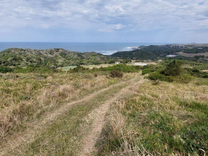 A scenic elevated view overlooking the coastal landscape and ocean, showcasing the natural terrain of the vacant residential land.