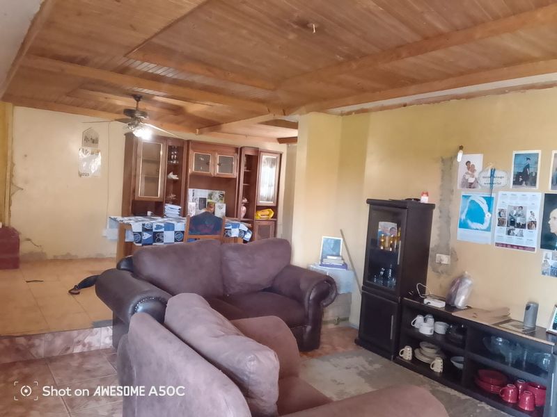 Open plan living area featuring a timber ceiling, ceiling fan, and tiled flooring, requiring cosmetic wall repairs and updates.