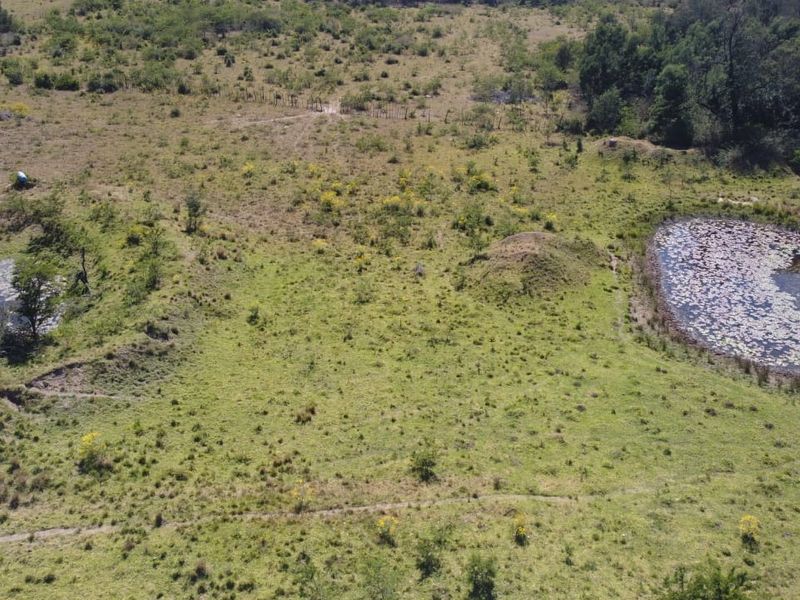 An aerial view of the farm property featuring open pasture land and two natural ponds.