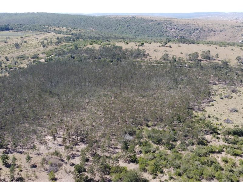 An aerial view of the expansive farm property, showcasing natural woodland, open grazing land, and surrounding hilly landscape.