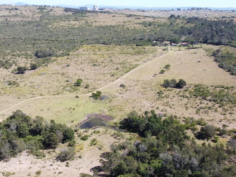 An aerial view of a large, open farm landscape featuring natural vegetation, a small pond, and a dirt access road.