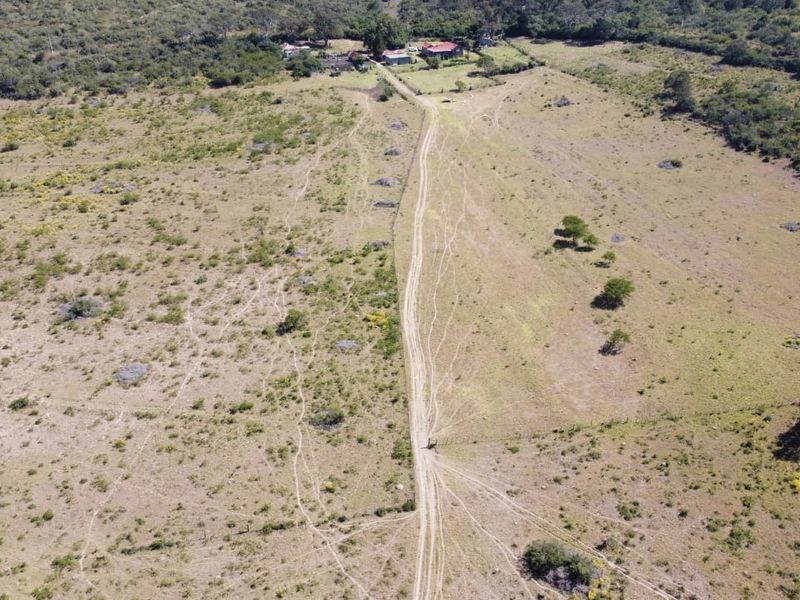 Aerial view of a large farm property featuring expansive open pasture land, a central dirt access road, and distant farm buildings.