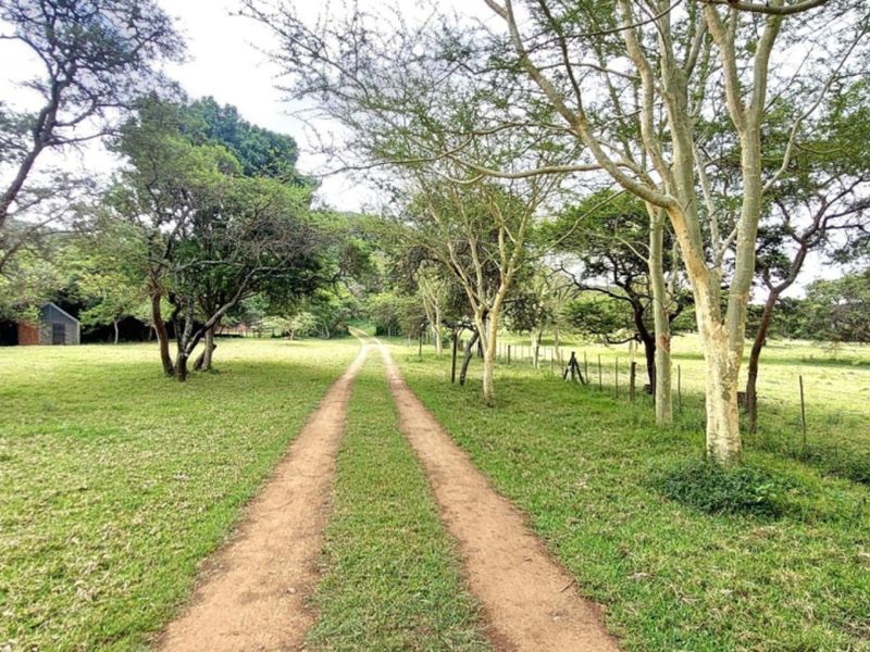 A scenic view of a farm property featuring a dirt track driveway lined with mature trees and wire fencing across open green pasture.
