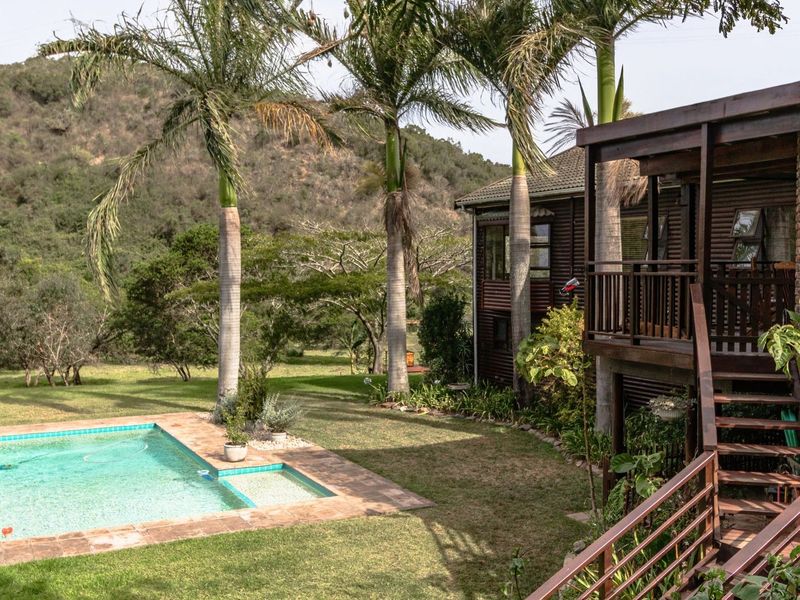 A scenic outdoor pool area featuring a swimming pool with tiled surround, set against a lush garden and elevated timber balcony with brick accents.