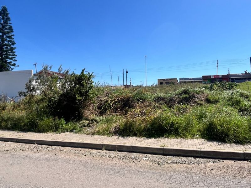 A view of an undeveloped residential vacant land plot featuring overgrown vegetation and direct access to an asphalt road and paved curb.