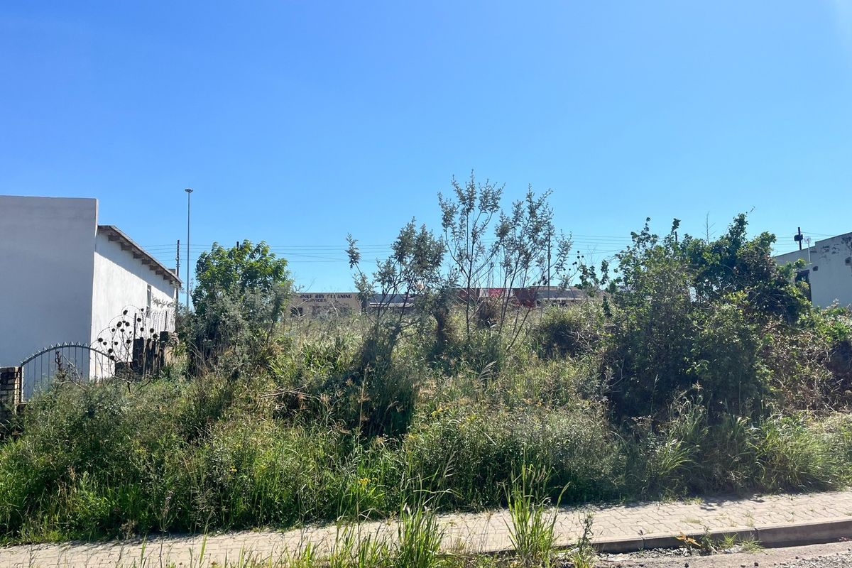 A vacant residential plot featuring overgrown vegetation and a paved sidewalk, situated in a developed neighborhood setting.