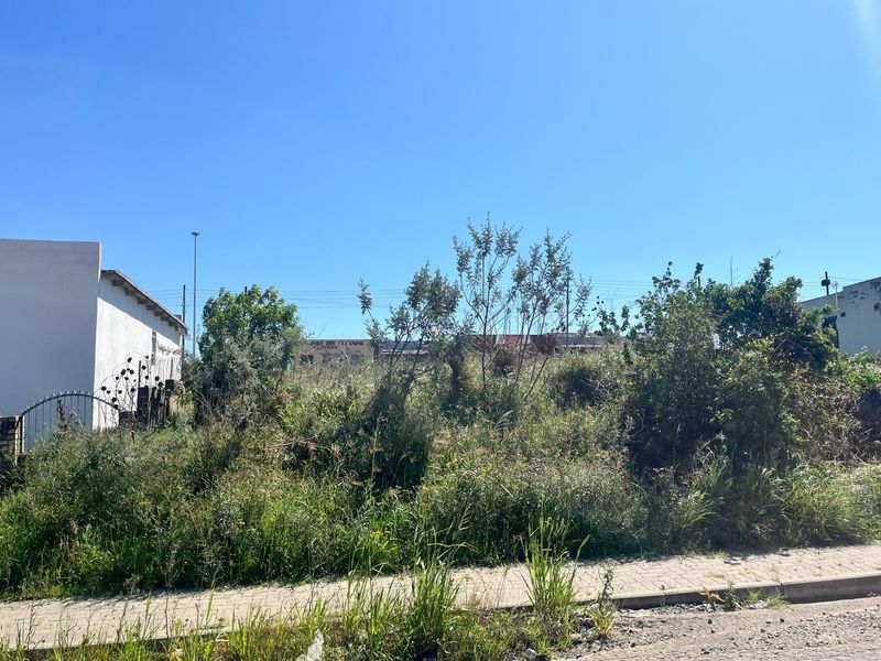 A vacant residential plot featuring overgrown vegetation and a paved sidewalk, situated in a developed neighborhood setting.