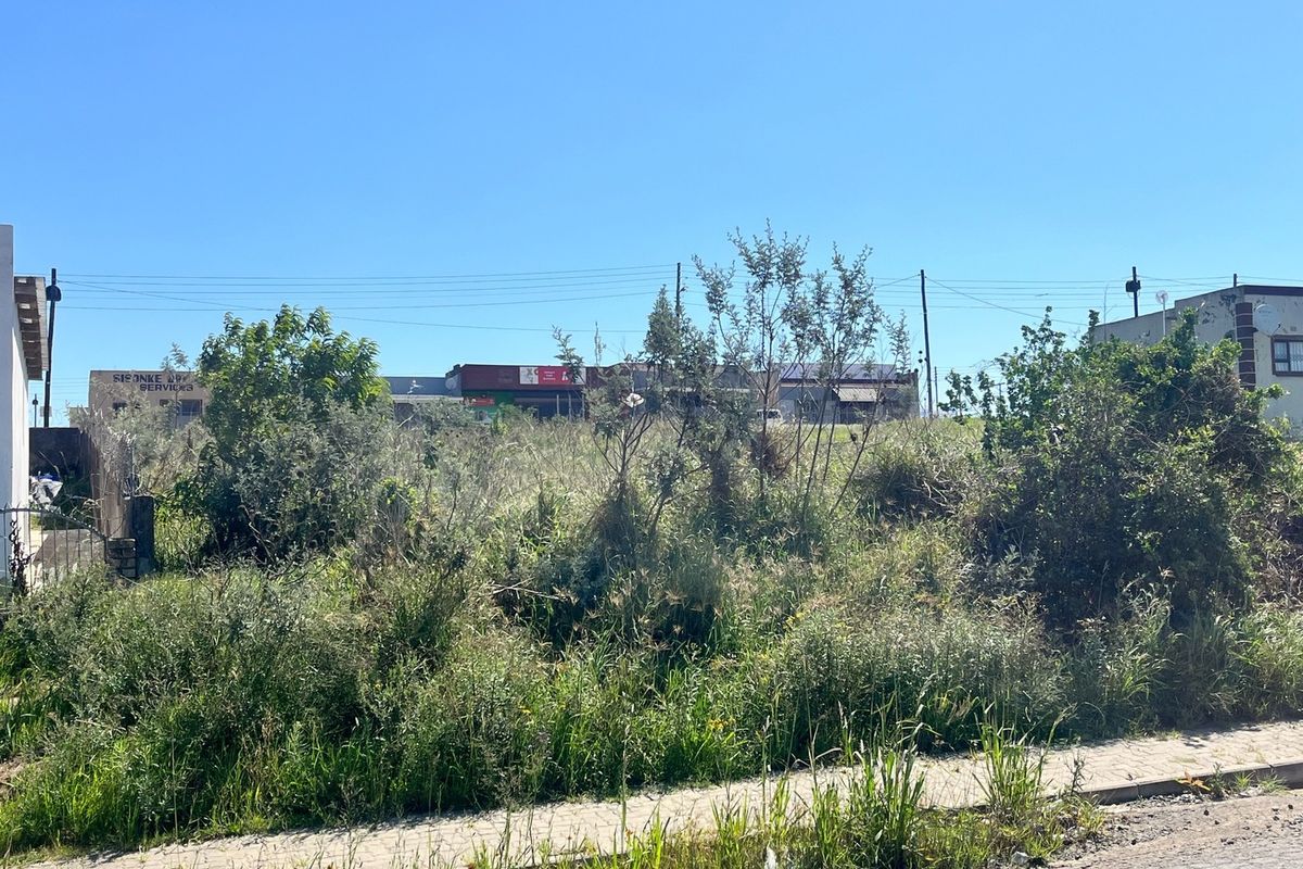 A vacant residential plot featuring overgrown vegetation, adjacent to a paved sidewalk with visible utility infrastructure in a suburban setting.