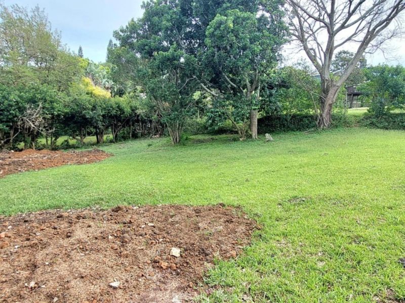 A view of a residential vacant land plot featuring established trees, a grassed lawn area, and existing wooden boundary posts.