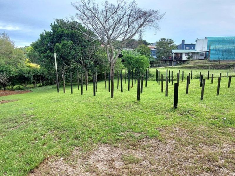 A vacant residential plot featuring a grass lawn, mature trees, and a series of vertical wooden support posts installed on the land.