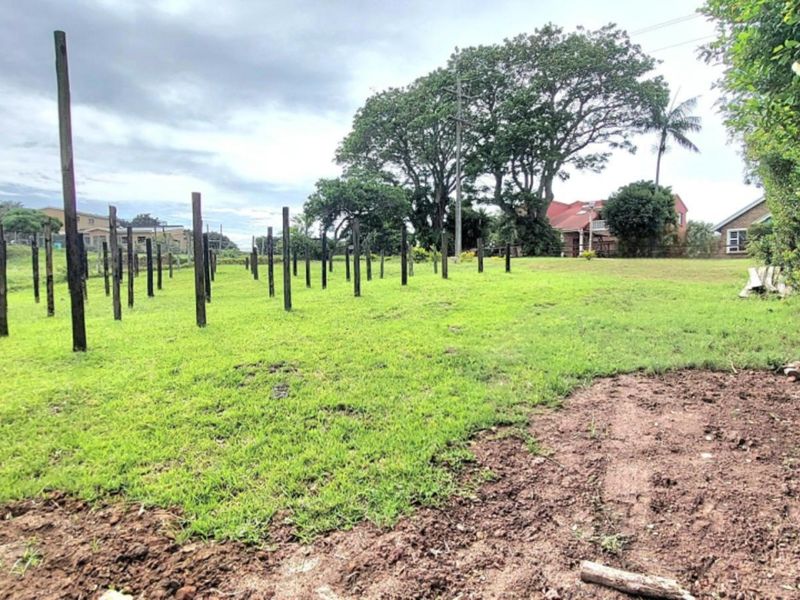 A spacious residential plot featuring a grassed lawn, mature trees, established hedging, and a series of vertical wooden posts.