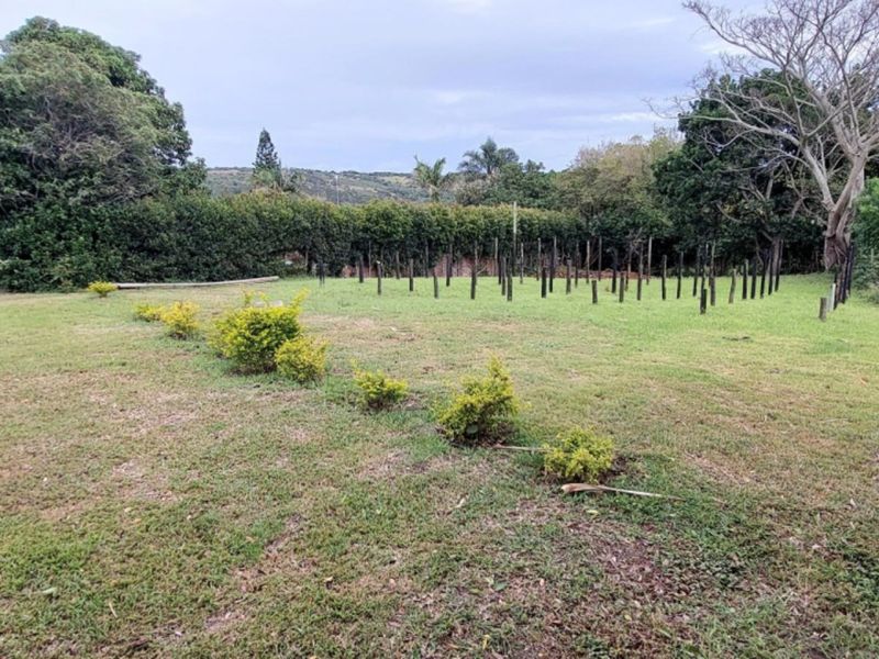 A vacant residential plot featuring a grass lawn, established perimeter hedging, and mature trees, offering a clear space for potential development.