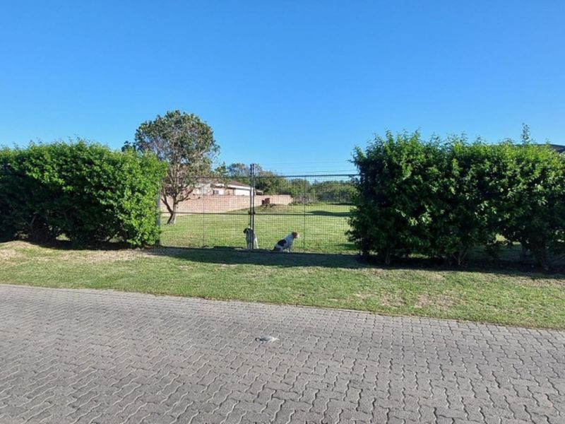A view of a vacant residential plot featuring a paved driveway, established hedging, and wire mesh perimeter fencing.