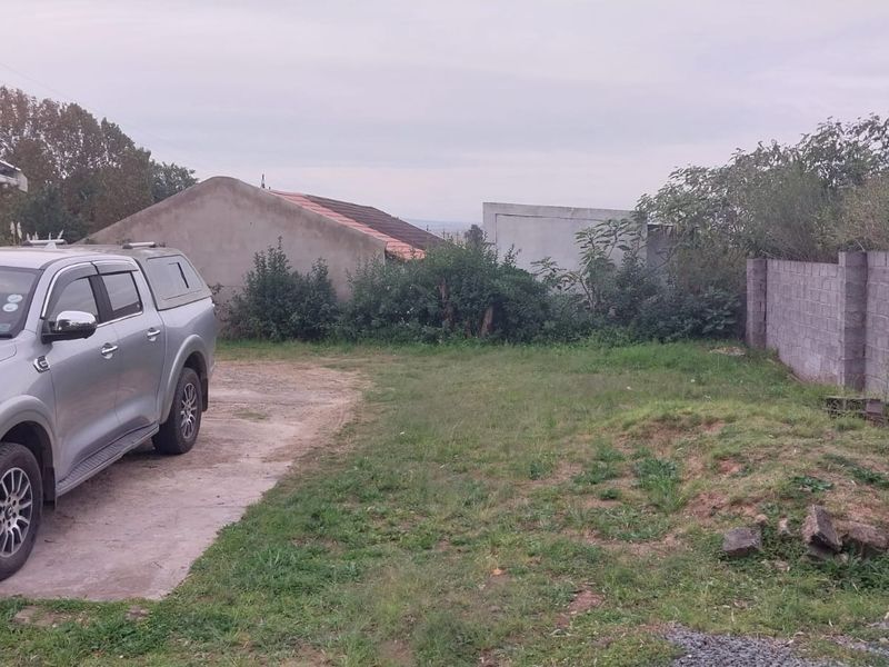 Rear exterior view of the property featuring a concrete driveway and a concrete block boundary wall with surrounding unmaintained garden area.