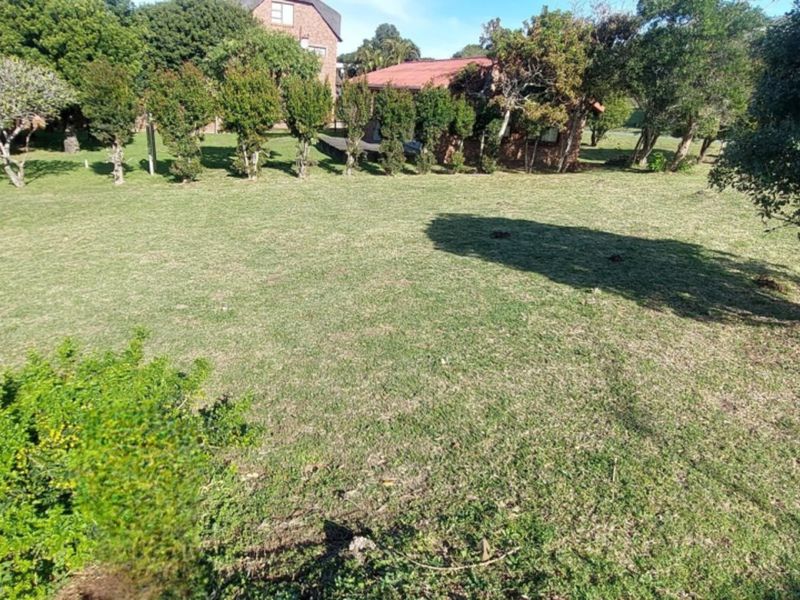 A well-maintained residential garden featuring a spacious lawn, mature trees, and a brick boundary wall, offering a private outdoor space.