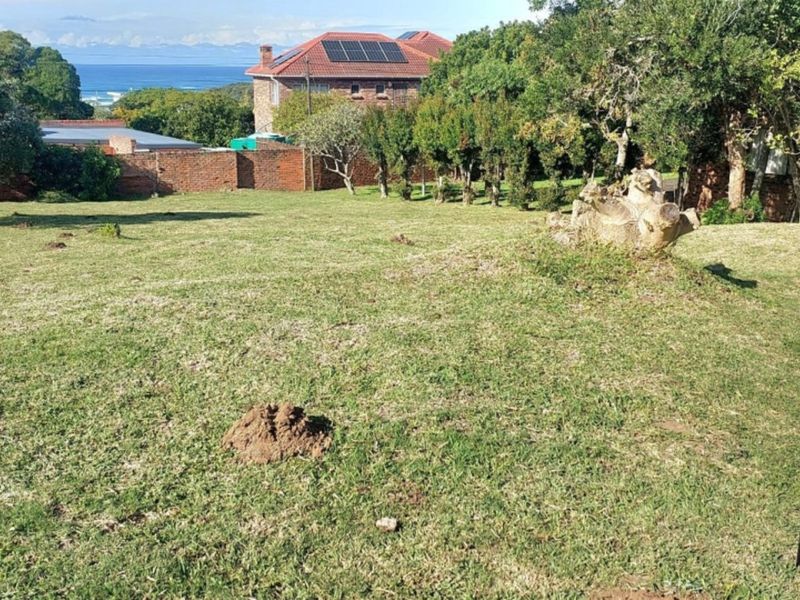 A vacant residential plot featuring established lawn, mature trees, and a boundary wall, offering a clear space for potential development.