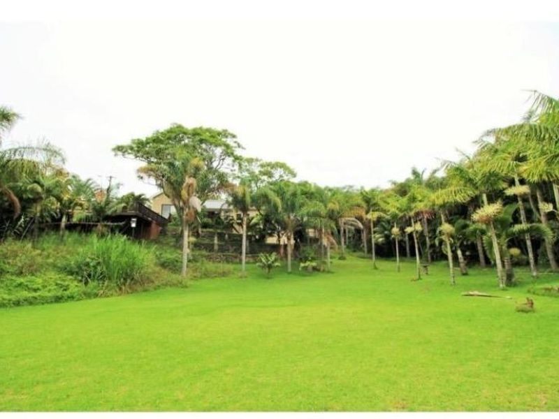 A spacious, well-maintained garden area featuring a large lawn, mature palm trees, and a tiered retaining wall leading toward the property.