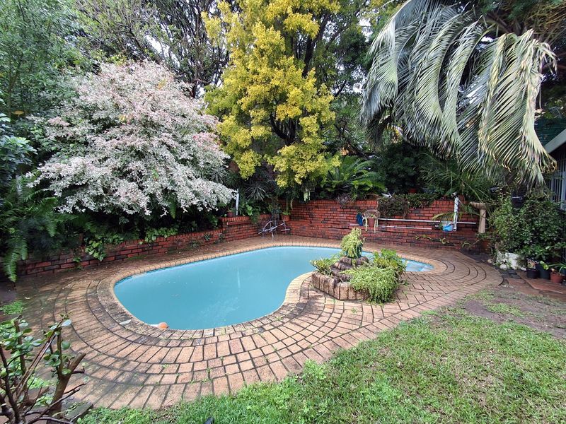 A backyard swimming pool area featuring a kidney-shaped pool, brick paving surround, and established garden landscaping with a brick boundary wall.