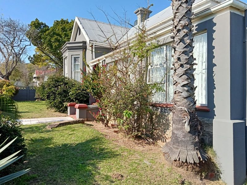 Front elevation of a traditional guest house featuring a corrugated metal roof, bay window, and established garden with a mature palm tree.