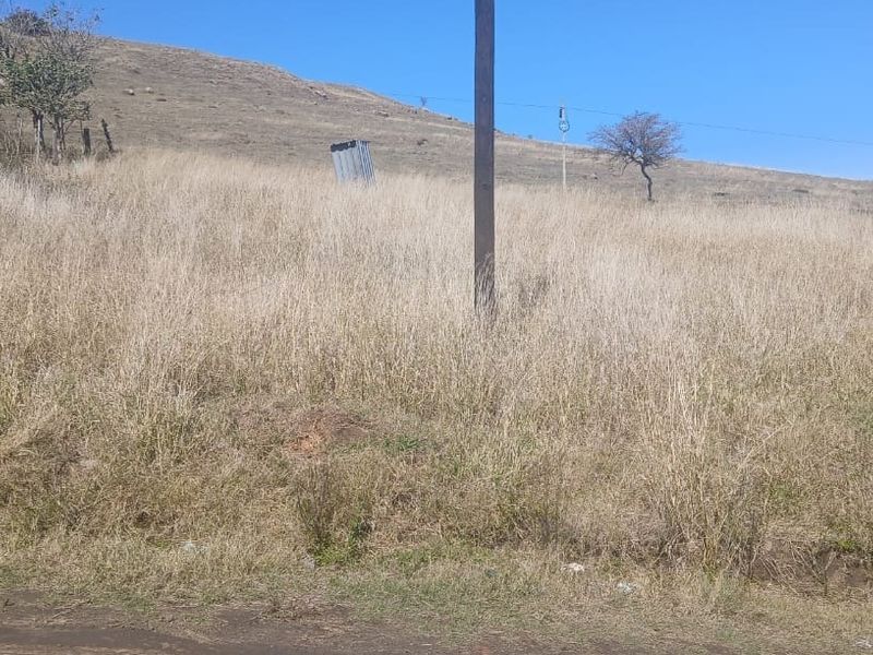 A view of a vacant residential plot featuring dry grass, a utility pole, and surrounding landscape.