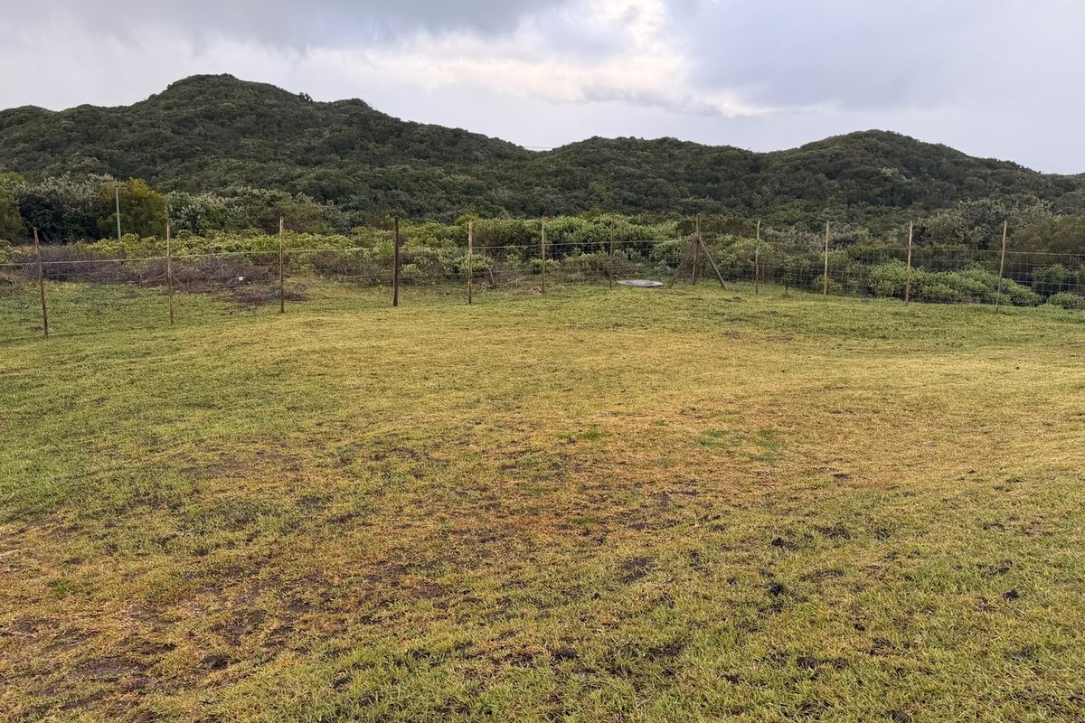 Four Plots, Breathtaking River Views and Exceptional Investment Potential - Photo 4