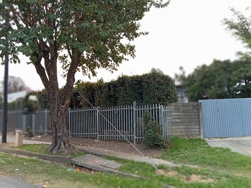 Street view showing the property boundary with palisade fencing, a concrete wall, and a metal gate along the verge.