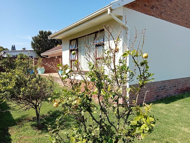 Rear exterior view of the property featuring a brick and plastered facade with aluminium window frames and established garden.