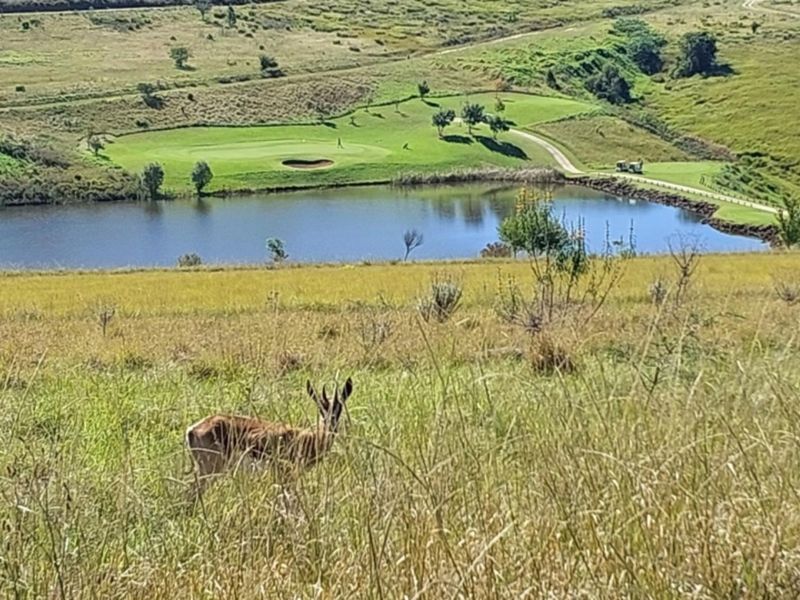 A scenic elevated view of a natural landscape featuring a lake and a golf course fairway.