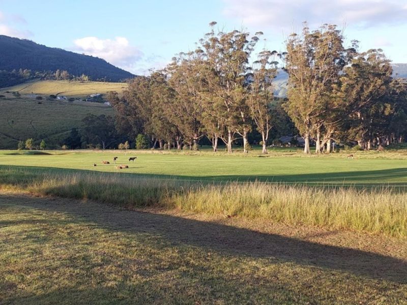 A scenic view of a large, open grassy field surrounded by mature trees with a mountain range in the background.