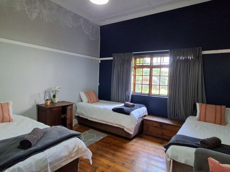 A spacious bedroom featuring polished timber flooring, a large timber-framed window, and decorative wall finishes with a classic picture rail.