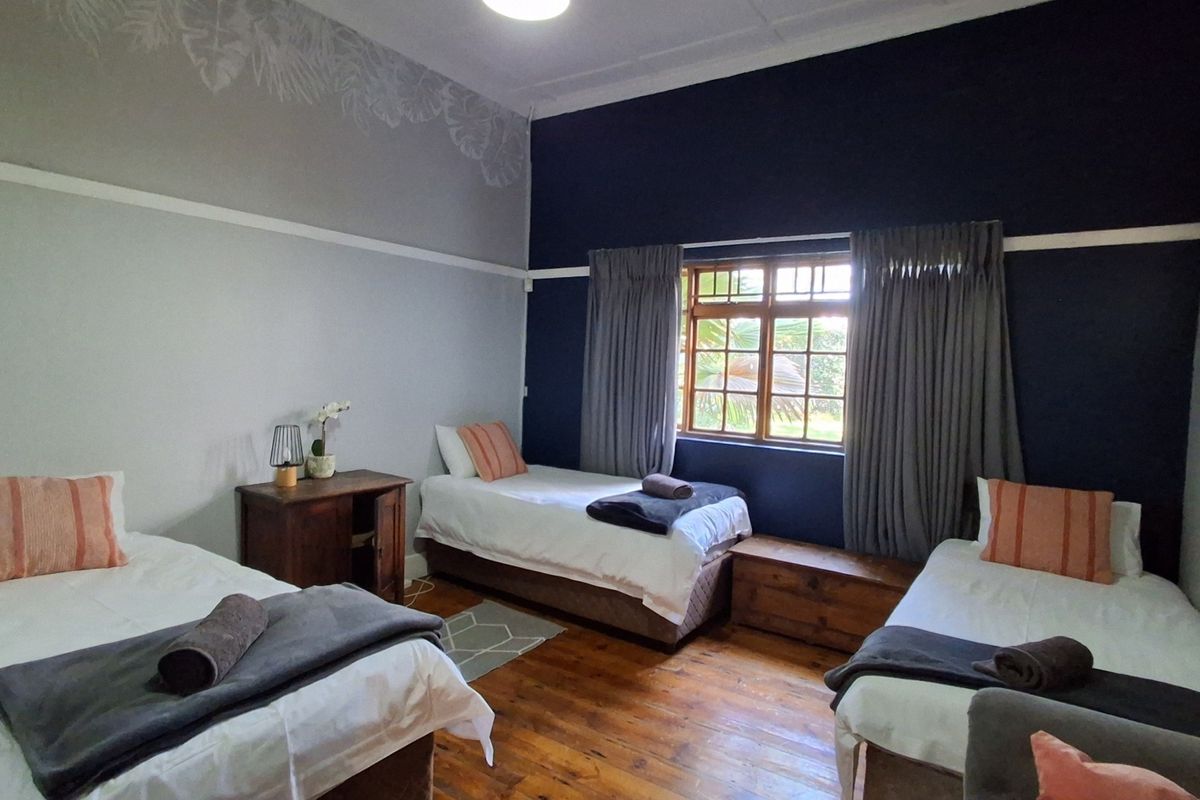 A spacious bedroom featuring polished timber flooring, a large timber-framed window, and decorative wall finishes with a classic picture rail.