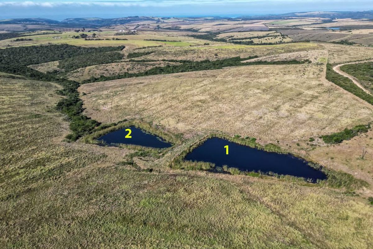 Prime Investment Opportunity with ample water - Photo 4