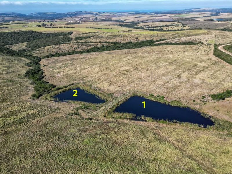 Prime Investment Opportunity with ample water - Photo 4