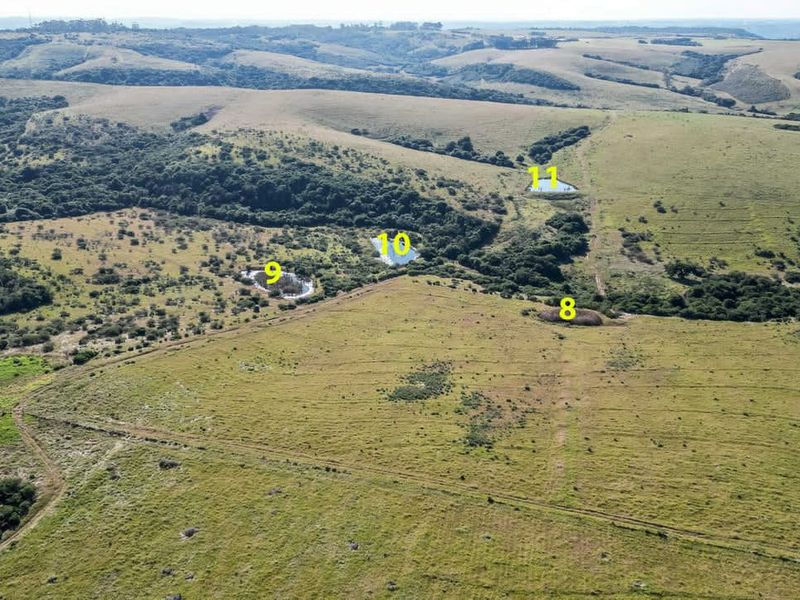 Prime Investment Opportunity with ample water - Photo 6