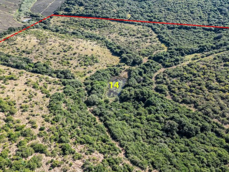 Prime Investment Opportunity with ample water - Photo 7