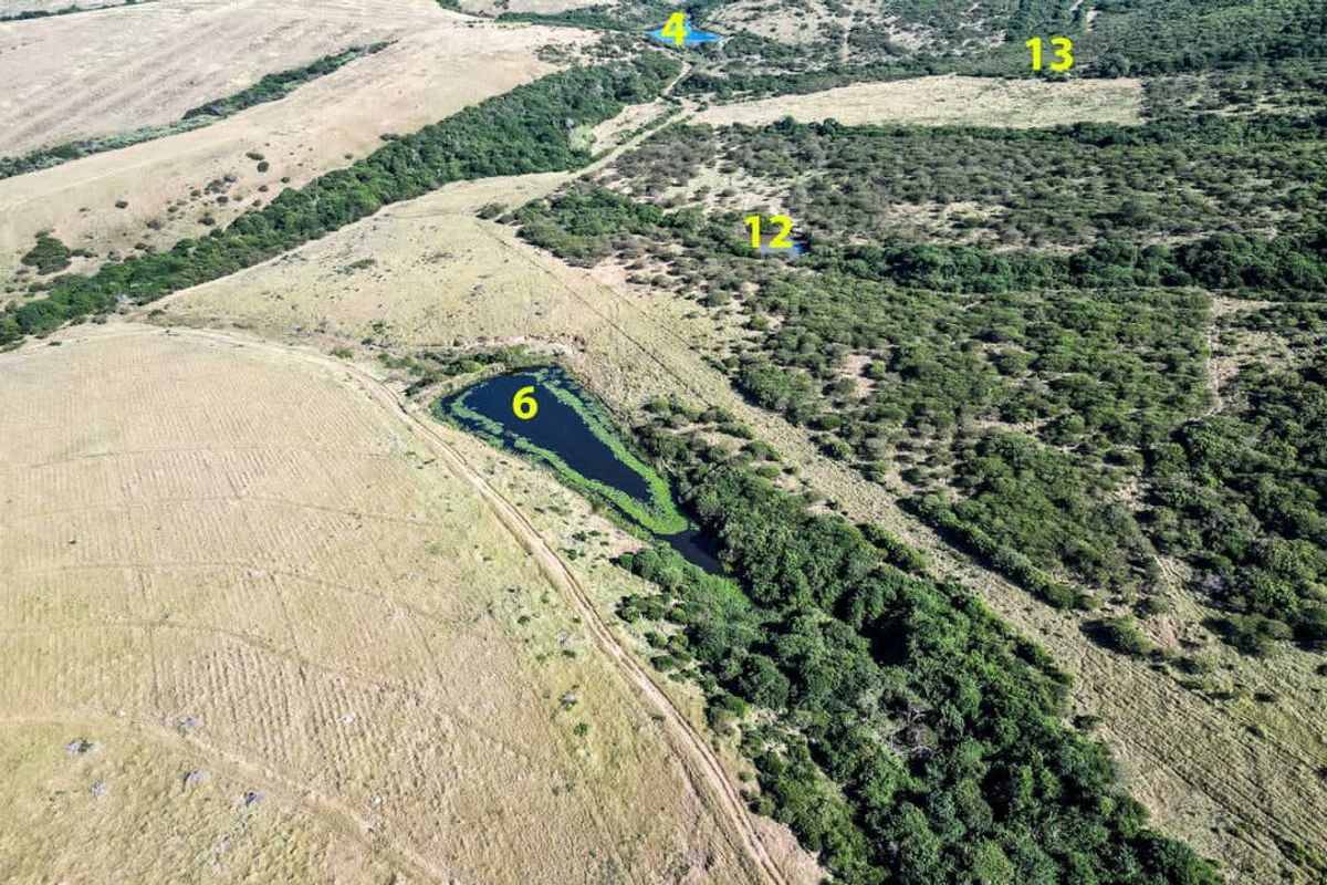 Prime Investment Opportunity with ample water - Photo 3