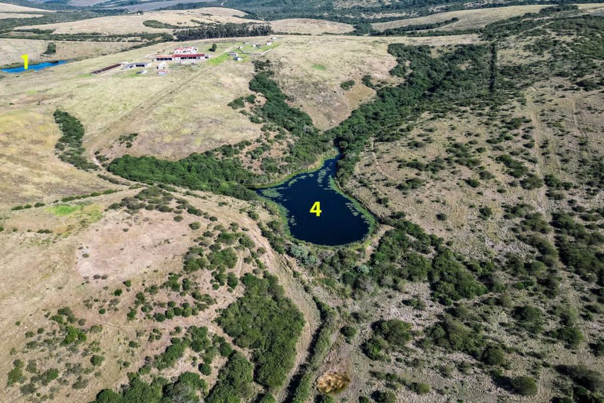 Prime Investment Opportunity with ample water - Photo 2