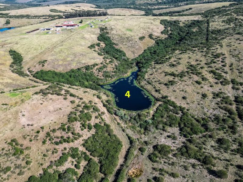 Prime Investment Opportunity with ample water - Photo 2